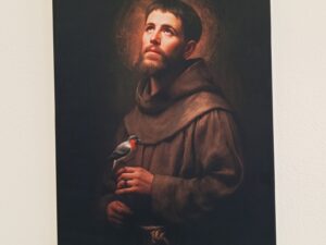 Obraz na plátne sv. František z Assisi